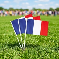 Drapeau à main personnalisé en gros avec bâton en plastique, impression recto-verso en polyester 100D, drapeau à agiter pour événements sportifs et défilés