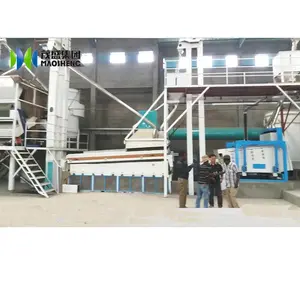 15t Soybean Lentil Arabica Robusta Coffee bean seed cleaning line equipment with dust aspiration system