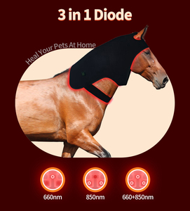 Tierphysiotherapie NIR-Infrarotlicht Niederfrequenztherapie Rotlicht für Pferde für den Pferdekopf - Product Image 6