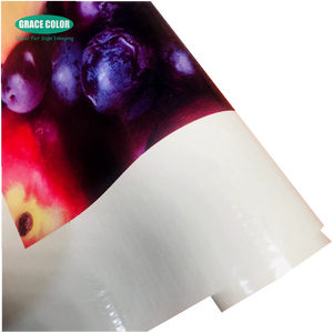 Giá thấp chất lượng tốt nhất scrim Vinyl cuộn Vật liệu Trung Quốc nhà sản xuất quảng cáo 340 GSM frontlit PVC biểu ngữ <span class=keywords><strong>Flex</strong></span> - Product Image 5