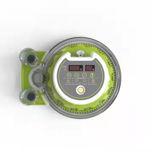 2026 Novo Design Gaveta Tipo Barato 8 Ovos Zhenghang Mini Incubadora com Abastecimento Automático De Água - Product Image 4