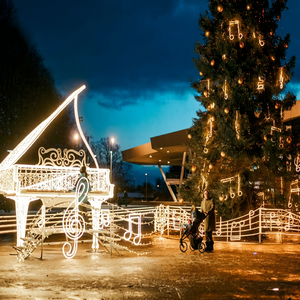 Lumières LED imperméables pour instruments de musique d'extérieur pour la décoration de parcs à thème et de Noël - Product Image 1