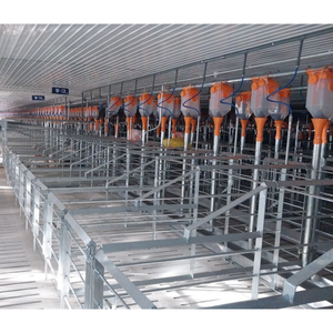 Farrowing <b>Crates</b> for Pigs Good Quality 2400X1800Mm Animal Husbandry Style Customization From Vietnam Manufacturer - Product Image 4