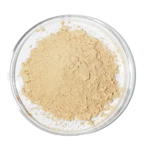 sea cucumber powder Freeze Dried Trepang Powder sea cucumber extract