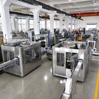 Usine d'embouteillage de boissons gazeuses de 3000 à 8000 bouteilles par heure avec remplissage isobare et système de carbonatation au CO2