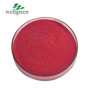 食品グレードサプリメントパープルレッドパウダーCAS14639-25-9純度99% ピコリン酸クロム