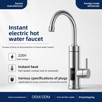 Robinet d'eau chaude/froide électrique instantané 3000W en acier inoxydable 304, température réglable, design rotatif pour camping-car, utilisation extérieure et automobile