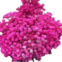 120g Buket Gypsophila Alami (Baby's Breath) Grosir Pabrik Bunga Kering Awet untuk Pernikahan, Natal, Wisuda