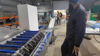 Machine d'emballage automatique de fruits bleuets multifonctionnelle pour boîtes en plastique