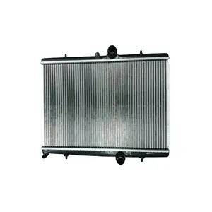 Oem 9800482380 Peugeot 3008 Citroen C4l 1.6T Auto-Onderdelen Motor Koeling Radiator Grote Tank