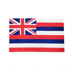 Polyester 3x5 Ft United States Texas Chicago Hawaii Custom Printing Countries All Over The World National State US Flag