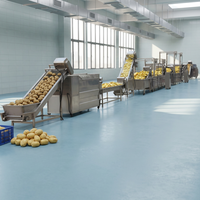 Nieuwe commerciële, goed verkopende, automatische lijn voor het frituren van verse aardappel-frites voor groenteverwerkingsbedrijven