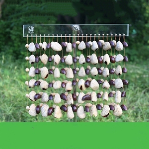 Campanas de Viento de Conchas Naturales al por Mayor para Sanación Sonora, Instrumento de Percusión, Yoga, Meditación y Terapia - Product Image 4