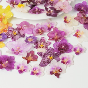Colgantes de resina con flor de orquídea Phalaenopsis auténtica y orquídea mariposa seca para componentes de joyería DIY y broches - Product Image 3