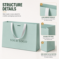 Sacs en papier kraft personnalisés avec longues poignées Ccpack, vert menthe de luxe, épaisseur 1 mm, poignée en ruban écologique, sac de shopping, sac cadeau pour la vente au détail