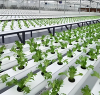 Système hydroponique NFT Agriculture plantation Tube en PVC personnalisé, Serre agricole du système hydroponique Nft