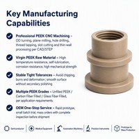 Pièces en plastique PEEK usinées CNC OEM, tournage et fraisage sur mesure, service d'usinage de polymères haute performance, surface en acier inoxydable
