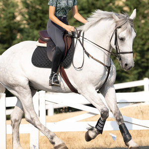 Comfortable Equestrian Ladies Horse Riding Pant for Sale OEM Custom High Waist Compression Breathable Silicone Riding Breeches - Product Image 5