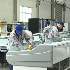 Denture — Service de pièces de voiture à Angle droit, comptoir avec armoire de réfrigération et congélateur 330L - Product Image 5