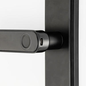 Aien Vàng-Màu Nhà Thông Minh Brass Khóa Cửa Điện Xử Lý Tuya Sinh Học Gỗ Nhôm Thép Wifi Ứng Dụng Kết Nối Đám Mây Lưu Trữ Dữ Liệu - Product Image 6