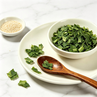 Hot Sale Natural Flavor Dried Green Onion Slices for Noodle Soup Seasoning Condiment