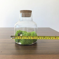 Vase minimaliste OEM, terrarium, vase hydroponique pour plantes, vase à mousse avec couvercle en liège pour la décoration de la maison, planteur forestier