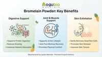 Bromelaïnepoeder Bulk Ananas Enzym Extract voor Cosmetica en Voedingssupplementen Aangepaste OEM & ODM