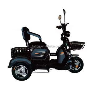 Venta directa de fábrica elegante personalizable 3 ruedas triciclo eléctrico 48V vehículo eléctrico de acero de cuerpo abierto para familias pasajeros - Product Image 4