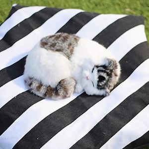 Tente d'été personnalisée pour animaux de compagnie, lit pour <span class=keywords><strong>chien</strong></span> mignon, amovible et lavable, portable pour petits et moyens chats, tentes portables - Product Image 5