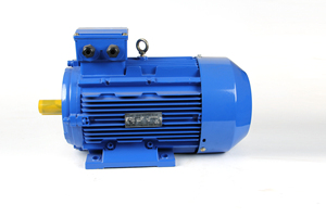 มอเตอร์ไฟฟ้ากระแสสลับสามเฟส YE3 380V 22kw 30HP สำหรับขาย YE3 มอเตอร์ YE3 มอเตอร์เหนี่ยวนำ YE3 22kw มอเตอร์สามเฟส 30hp มอเตอร์ AC - Product Image 3