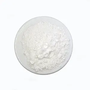 수지 코팅 첨가물을 위한 좋은 중국 제조 poudre de talc 분말 poudre 사용법 industriel 자유로운 조정