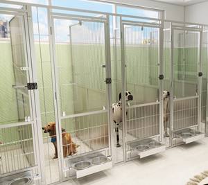 Owen Sound Animal Shelter <span class=keywords><strong>Refuge</strong></span> Animalier Adoption de chiens Kennels - Product Image 6