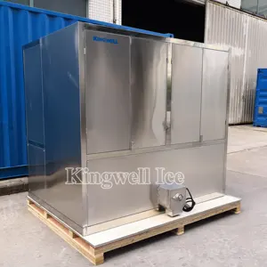 Máquina industrial de cubitos de hielo de gran capacidad 2T para Nepal a la venta (1T a 30T)