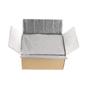 熱冷凍食品シーフード輸送用の配送パッケージサーマルボックス断熱カートン配送ライナー