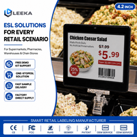 LEEKA ESL - Etiqueta de Precio Electrónica Personalizable, Pantalla de Papel Electrónico Antideslumbrante, Etiqueta Digital para Estantes de Restaurantes