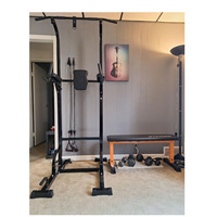 Torre de Dominadas para Ejercicio, Equipo de Entrenamiento, Soporte Inclinado para Ejercicios de Fitness, Venta al Por Mayor de Fábrica