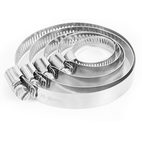 Kit de colliers de serrage à vis sans fin en acier inoxydable 6-29mm collier de serrage pour pinces à carburant Intercooler Tube de plomberie mesure métrique