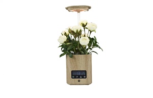 Pot de fleurs intelligent avec humidificateur lumineux, pot de fleurs LED, modèle de musique, horloge pour <span class=keywords><strong>calendrier</strong></span>, vente d'usine, - Product Image 3