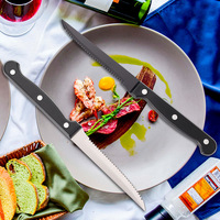 Outils de cuisine Couteau à steak en acier inoxydable Ensemble de couteaux à steak dentelés pour couper le steak