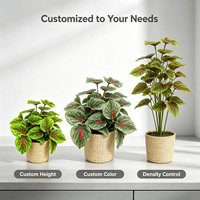 Tanaman Fittonia Buatan 27cm dengan Daun Hijau Berurat, dalam Pot Keranjang Anyaman, untuk Dekorasi Meja, Kafe, Rak