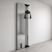 Appareil de musculation fonctionnel mural 30 kg avec finition miroir noyer, machine à câble compacte pour station de gym à domicile