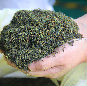 Nuovo pulito alla rinfusa naturale erba tè crudo Eucommia Ulmoides <span class=keywords><strong>fiori</strong></span> <span class=keywords><strong>maschili</strong></span> per uomo - Product Image 6