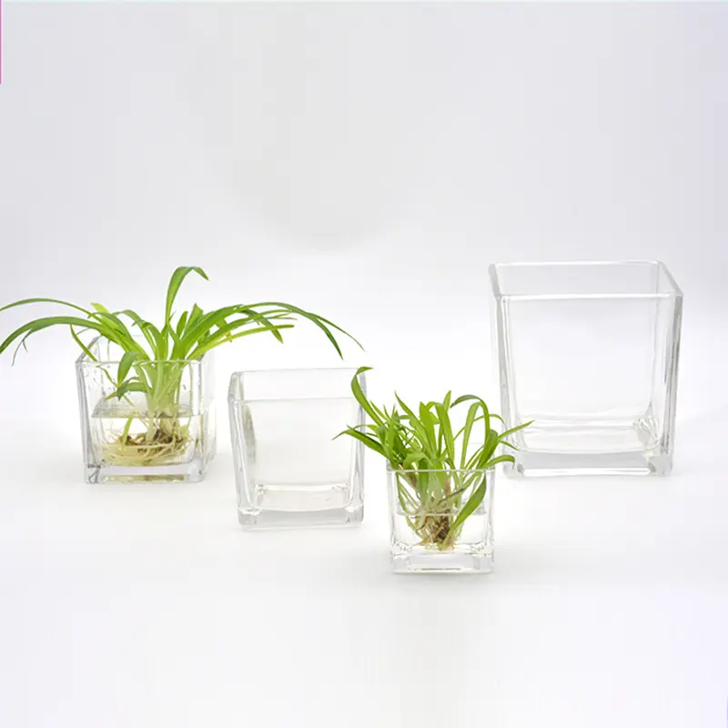 Hoge Kwaliteit Tafelblad Clear Hydrocultuur Glazen Vaas Succulente Pot Tuin Terrarium Vierkante Glazen Kubus Vaas