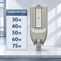 Lampadaire LED optique étroit en alliage d'aluminium IP67 AC de 40 à 75W pour l'éclairage extérieur des routes, des jardins et des parcs industriels