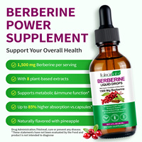 Grande Vente Extrait Végétal de Berberine Liquide Végétalien Marque Blanche pour le Soutien du Système Immunitaire, de la Digestion et du Bien-être – Supplément de Berberine