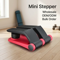Appareil de fitness compact BNcompany TBJ-003 en acier, réglable, avec bandes de résistance, pour usage domestique
