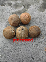 Machine à peler les noix de coco de bonne qualité, machine à peler les noix de coco automatique avec emballage, prix de la machine à peler et à couper les noix de coco