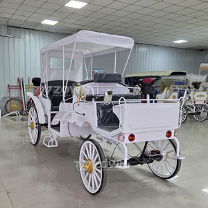 Calèche électrique personnalisée pour événements spéciaux, limousine de tourisme, calèche vintage blanche - Product Image 4