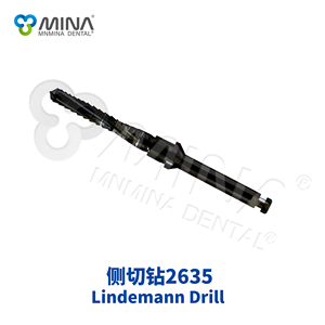 Mina Lindemann Directe Verkoop Van Fabrikant Elektrische Boormachine Voor Instrumenten Voor Tandheelkundige Chirurgische Implantaten - Product Image 4