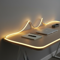 Lumières néon modernes à intensité variable, design personnalisé, étanches IP67, en silicone transparent, flexibles, pour la décoration murale des magasins, des entreprises, des maisons et des chambres.
